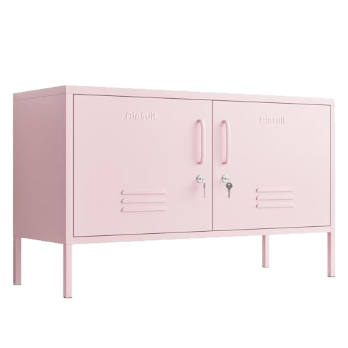Aiasuit 2 Door Metal TV Stand Media Console for Large TV