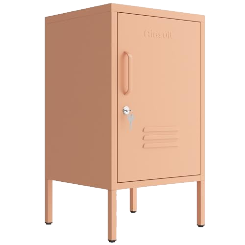 Single door End Table 2 Tier Narrow Side Table with Metal Frame Multifunctional Home Table Easy to Assemble Adjustable partitions Single Door Coffee Table Pink Size: 27.55"H X 13.78"W X 14.96"D